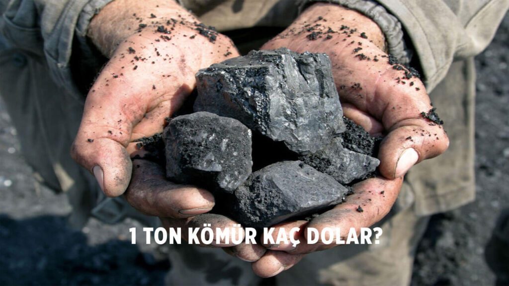 1 ton kömür kaç dolar?